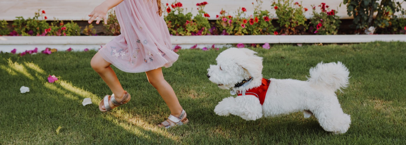 DogWatch of Southwestern Ontario, Mississauga, Ontario | Outdoor Hidden Dog Fences Slider Image